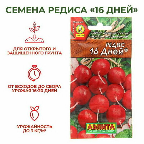 ���� ������ ����� 