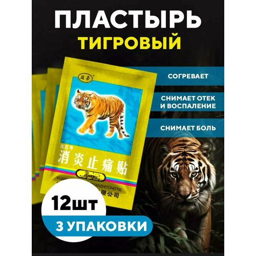 ���� �������� �������� 12 ��, ������ �� 218 ���