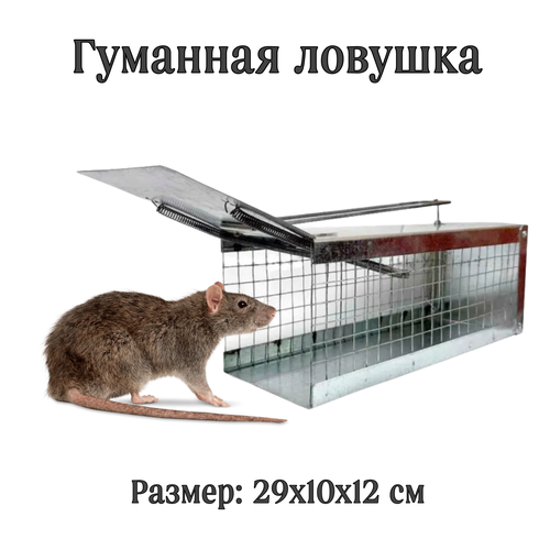 ���� ���������� ������ ������+�����, ������ �� 549 ���