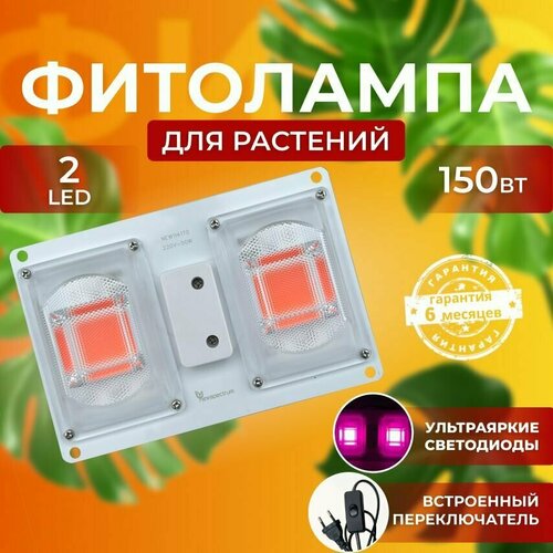 ���� ��������� ��� ����������� �������� ������� ������ ������ �������������� ������������, ����� ��������� ��� ������ � ��������, ������ �� 1650 ���