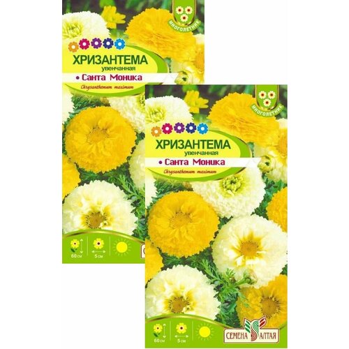 ���� ���������� ����� ������ ���������� (0,3 �), 2 ������, ������ �� 239 ���