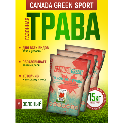        15 /    15 / Canada Green Sport /   , ,    -     , -, 