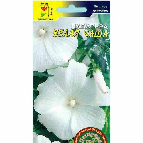 ���� ������ �������� ����� ����, ����������, (�������� ���) 0,2�, ������ �� 46 ���