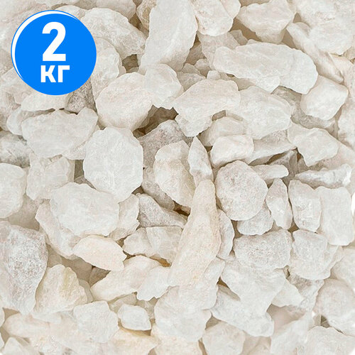 ���� ����������� ����� ��� ��������, ����������� � ��������, Zoo One, ��������� ��������, 