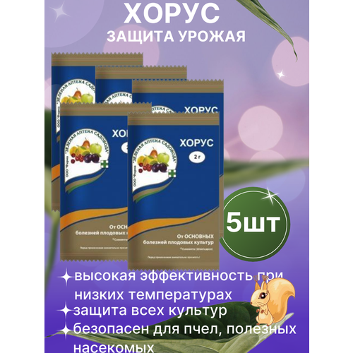 ���� �������� ������ �������� �� �������� ����� 5 ��, ������ �� 300 ���