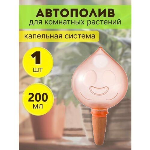 ���� ��������� ��������� ��������, ������, ��������� �����, ����� ��������� ���� �������, ������ �� 330 ���