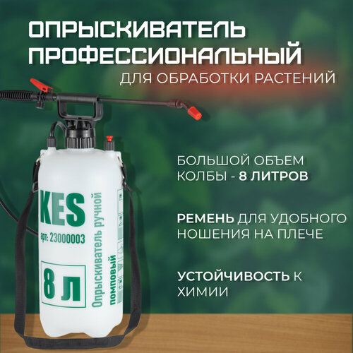 ���� ����������� ��� ����, ������������� �������������, �������� �����������, ������ �� 900 ���