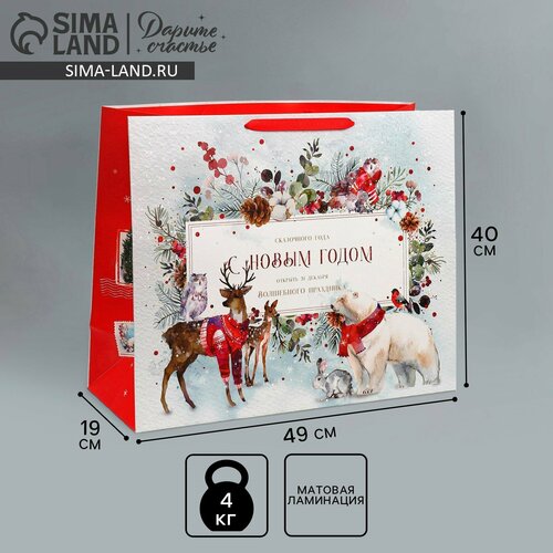 ���� ����� �������������� �������������� �������� ������, XL 49 ? 40 ? 19 �� 1��., ������ �� 547 ���