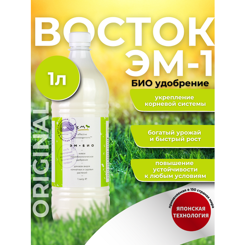 ���� ��������� ��� �������� ������������� ��-��� (������ ��1), 1�, ������ �� 700 ���