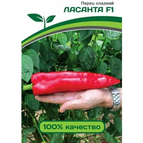 ���� ������������� ������ ����� �������� ������� F1, ������ �� 122 ���