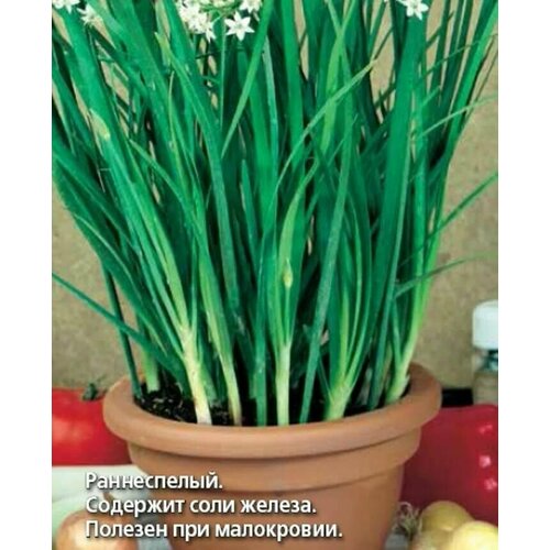 ���� ������������� ������ ���� ������ �����, ������ �� 103 ���