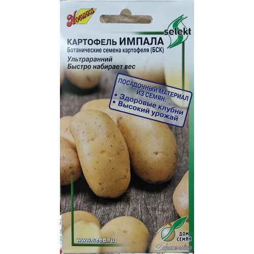 ���� ��������� ������, (���) ������������ ������ ���������, ������������, ������ �������� ���, ������� ������ �������� ������� �� 2 ���, 25 �����, ������ �� 255 ���