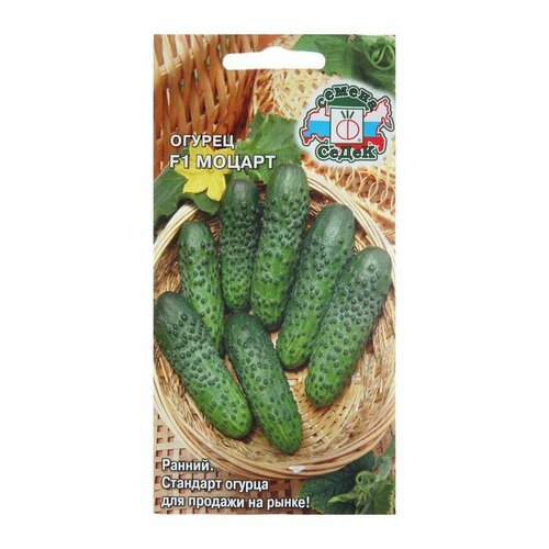 ���� ������ ������ 