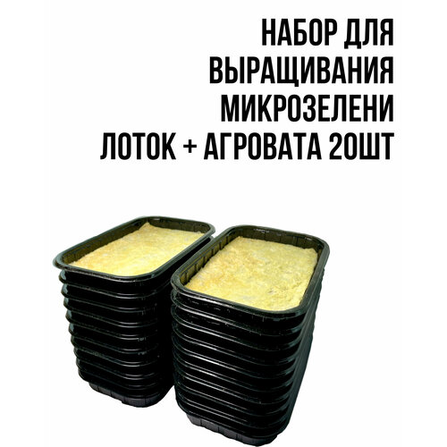 ���� ����� ��� ����������� ���������� (��������+�����) 20��, ������ �� 770 ���