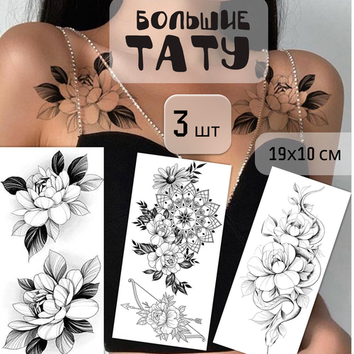 ���� ����� ������� ���������� ���� 3 ����� (19�10 ��). ���������, ������ �� 299 ���