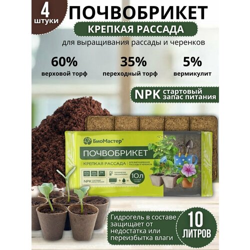 ���� ��������� ����� ��� �������� ����������� ������� ������� 4 �� �� 10 �, ������ �� 1881 ���