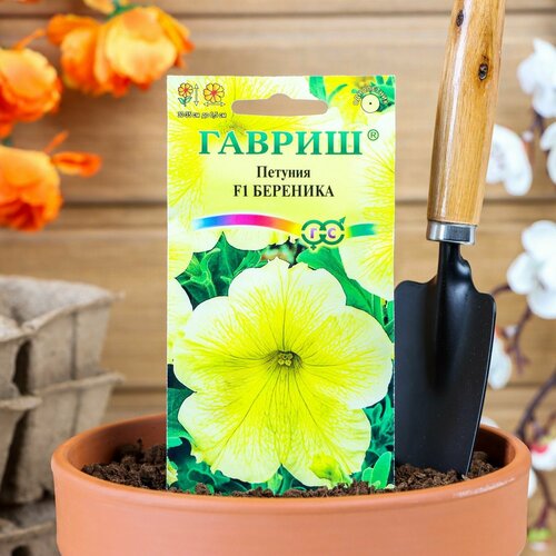 ���� ������ ������ ������� 