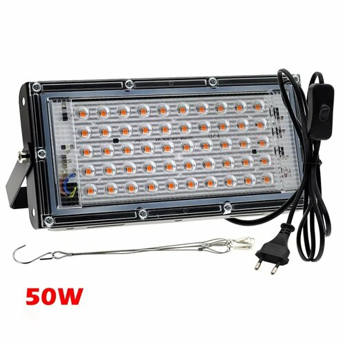 ���� ��������� 