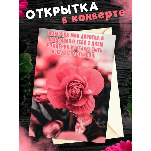 ���� �������� �6 � �������� � ���� ��������, ����!, ������ �� 268 ���