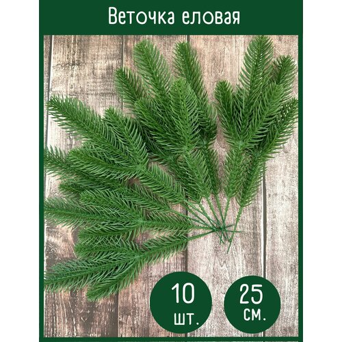 ���� ������ ����� ������������� (������ �����) 3 ����� �� �����, 25 ��. ����� ������, ����������, 10 ��., ������ �� 490 ���