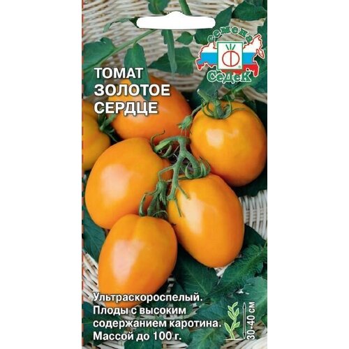 ���� ����� ������� ������, 1 �����, ������ 0,1 ��, �����, ������ �� 43 ���