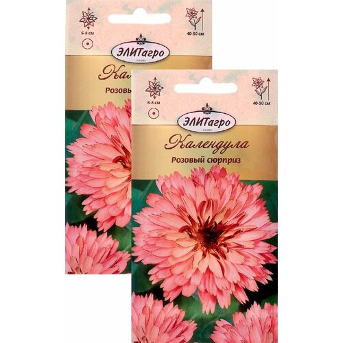 ���� ��������� ������� ������� (0,3 �), 2 ������, ������ �� 239 ���