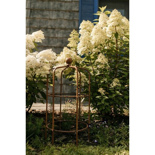 ���� ����� ������ � ������� 70 d360, ������ �� 4000 ���