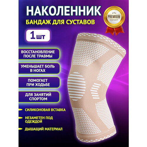       S (37-42),  ,  ORTONYX    ,   750 