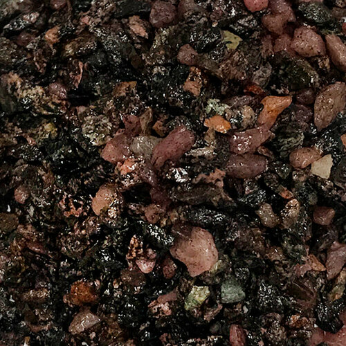 ���� ����������� ����� ��� ��������, ����������� � ��������, Zoo One, ��������� ��������, 