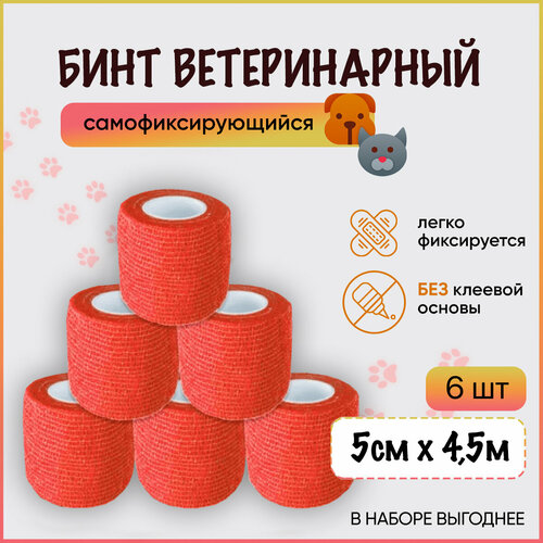 ���� ���� ���������� ���������� ����������������� / ��������� ����� ��� ����, ��� ���������, ����������, ��� ��������, 5 �� � 4,5 �, �������, ����� 6 ��, ������ �� 495 ���