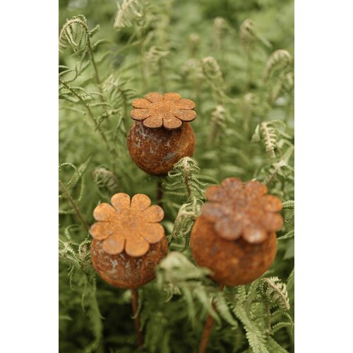 ���� ������� ����� ���� ��� ���� 7-115, ������ �� 4620 ���