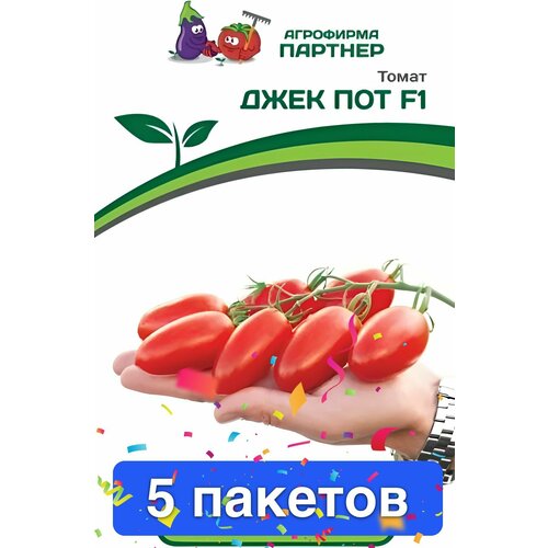 ���� ������ ������ ��������� ������� 