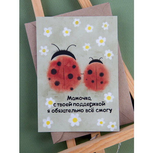 ���� �������� 