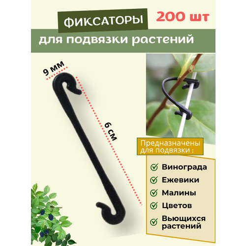 ���� �������� ��� ��������, ��������� ��� �������� ��� ��������� 200 ��., ������ �� 622 ���