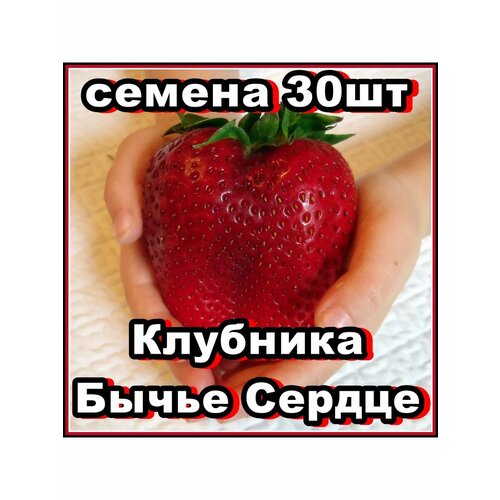 ���� ������ �������� ����� ������ 30��, ������ �� 409 ���