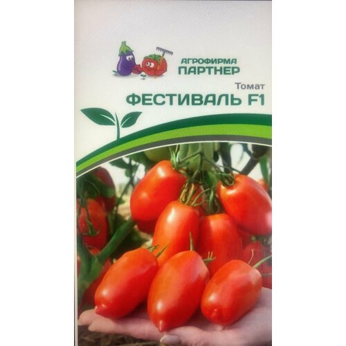 ���� ������ ������ 