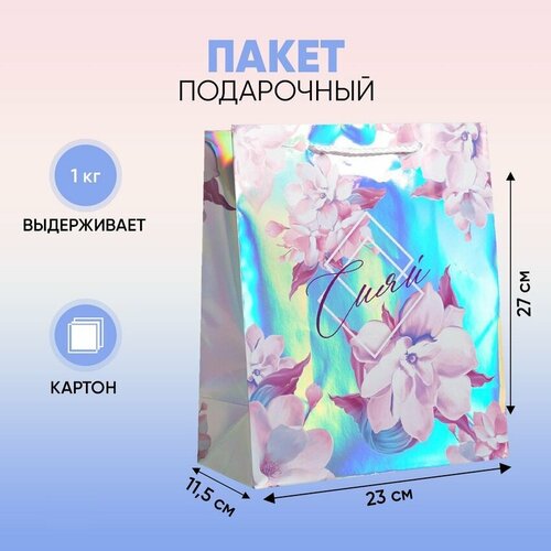 ���� ����� ���������� �����, 23 ? 27 ? 11.5 ��, ������ �� 245 ���