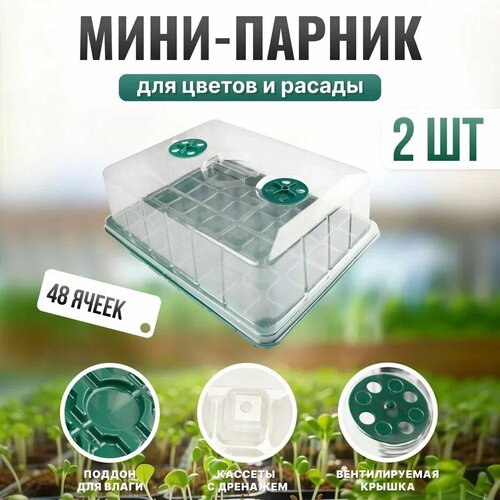 ���� ����-������ ��� ������� ������� ��� ������������ ����� � ������� �� 48 ����� 2��, ������ �� 1509 ���