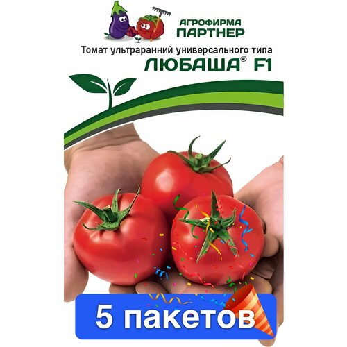 ���� ������ ������ ��������� ������� 