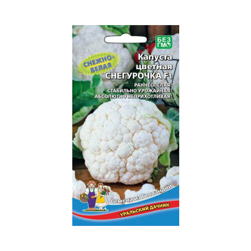 ���� ������ ������� ������� ���������� F1 12�� ������ (��������� ������), ������ �� 60 ���