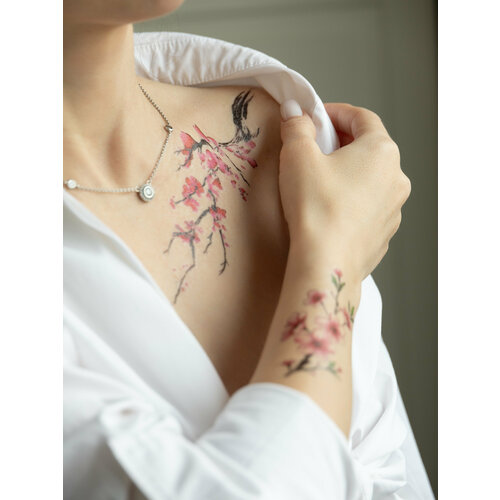 ���� ��������� ���� ������, ������ �� 200 ���