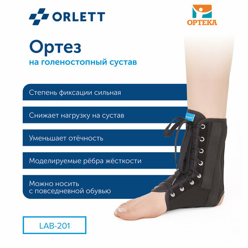  Orlett     LAB-201,  XL,    -     , -, 