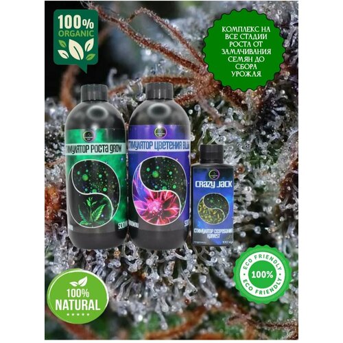 ���� Crazy Jack: grow, bloom, harvest �������� �� ��� ������ ����� �����, ������ �� 1100 ���