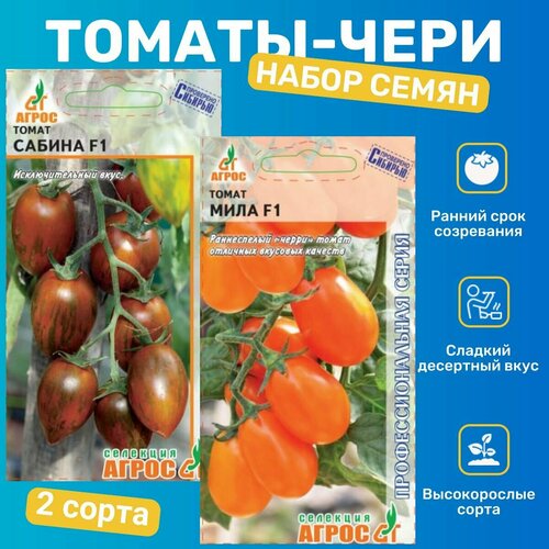 ���� ������ �������/ ����, ������, ������ �� 399 ���