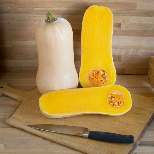 ���� ����� ��������� ������ F1, ����������� ������ ��������� ����������� �����, ����� ��������� �� 7 �������, 4 �� �����, ������ �� 310 ���