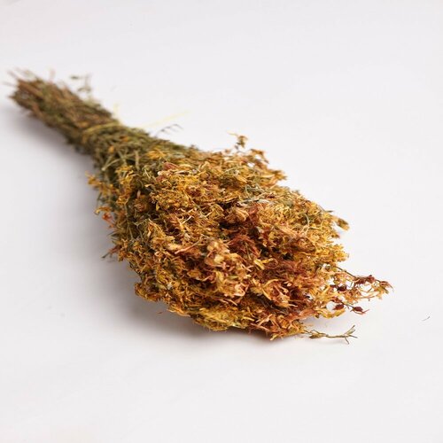 ���� ����� ��� ���� ��������, ������� ������, �� ������ ����� ���� - 2 ��., ������ �� 600 ���