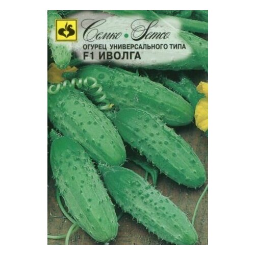 ���� ������ ������ ������ F1 (5��) 1�������, ������ �� 199 ���