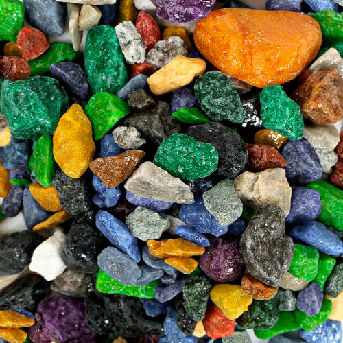 ���� ����������� ����� ��� ��������, ����������� � ��������, Zoo One, ��������� ��������, 