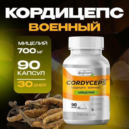 ���� ��������� ������� � �������� 700��, �������� ��� ���������� � ������, ������ �� 811 ���