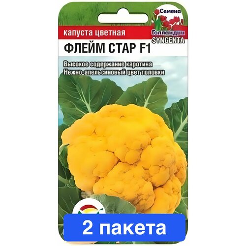 ���� ������ ������ ��������� ��� 